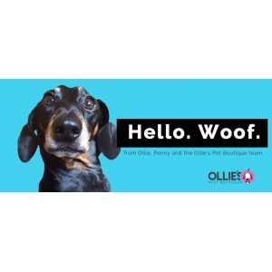Welcome to our new store website!