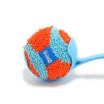 Indoor Ball