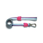 Candy Bar Dog Leash by Zee.Dog!